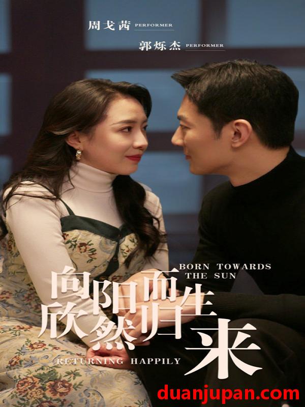 短剧 短剧 向阳而生 欣然归来（73集） 