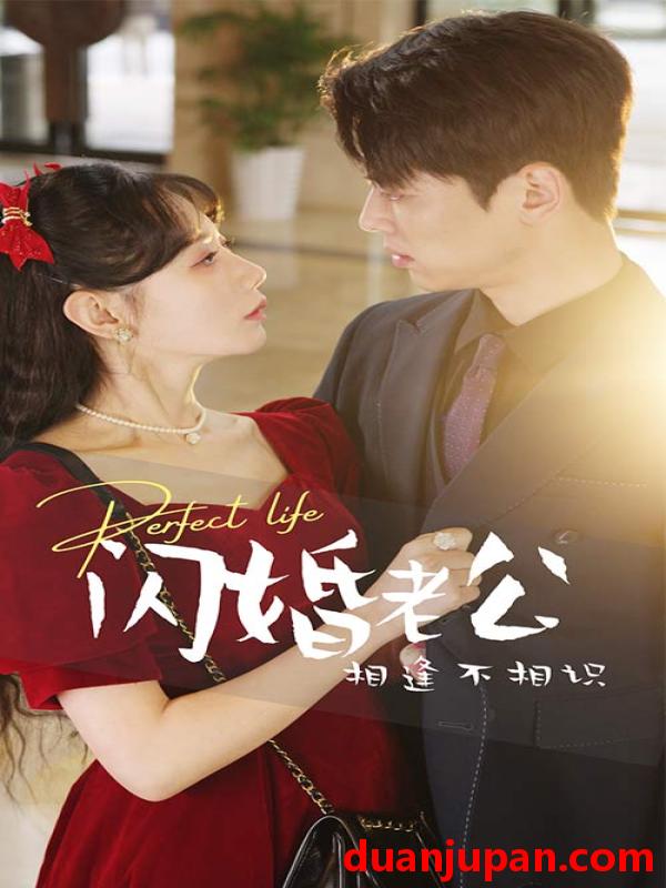短剧 短剧 闪婚老公相逢不相识（90集） 