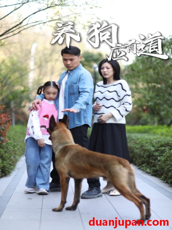 短剧 短剧 养狗应有道（60集）
