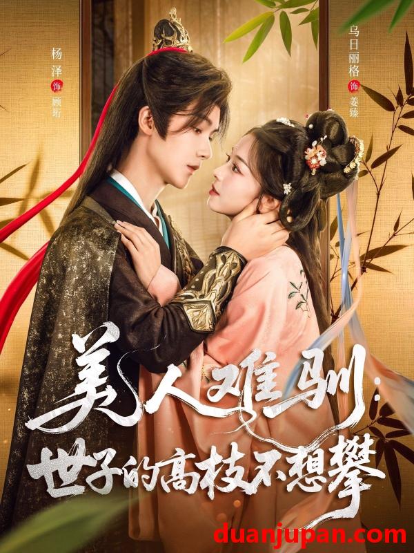 短剧 短剧 美人难驯世子的高枝不想攀（81集）杨泽/乌日丽格