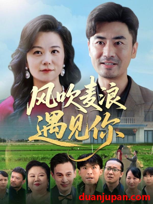 短剧 短剧 风吹麦浪遇见你（60集）李易泽/李晓