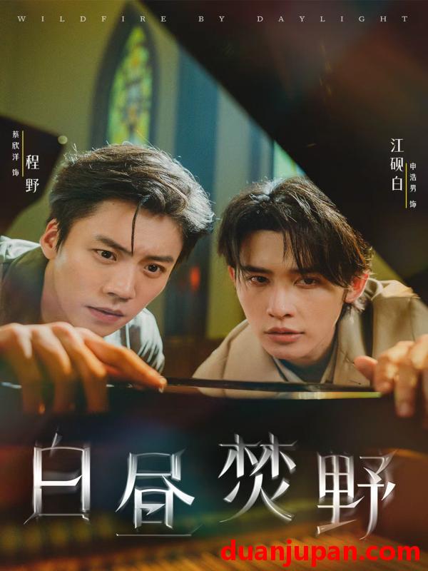 短剧 短剧 白昼焚野（70集）申浩男/蔡欣洋