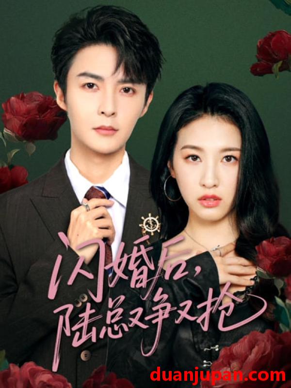 短剧 短剧 闪婚后陆总又争又抢（83集）管栎/杜雨宸