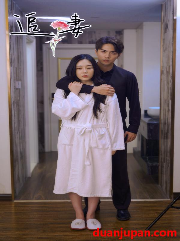 短剧 短剧 追妻（89集） 