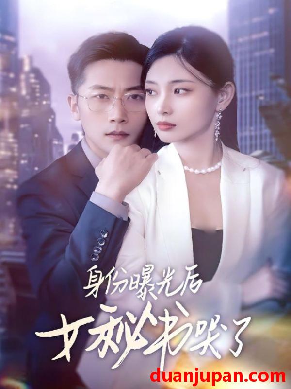 短剧 短剧 身份曝光后女秘书哭了（31集）刘雪君/张家川