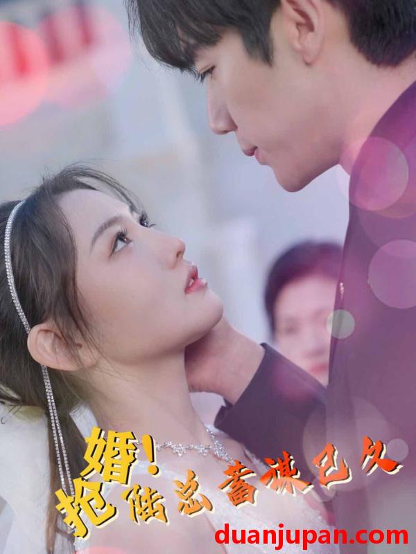短剧 短剧 抢婚！陆总蓄谋已久（99集） 
