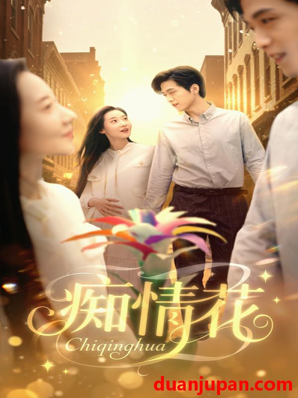 短剧 短剧 痴情花（60集）陆路/王艺鑫