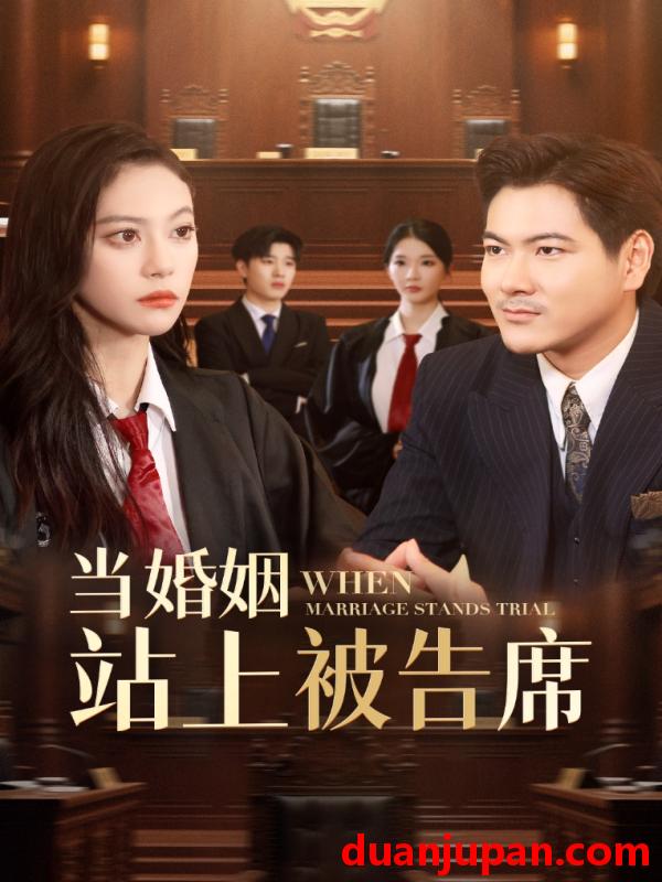 短剧 短剧 当婚姻站上被告席（30集）刘林/刘涵飞