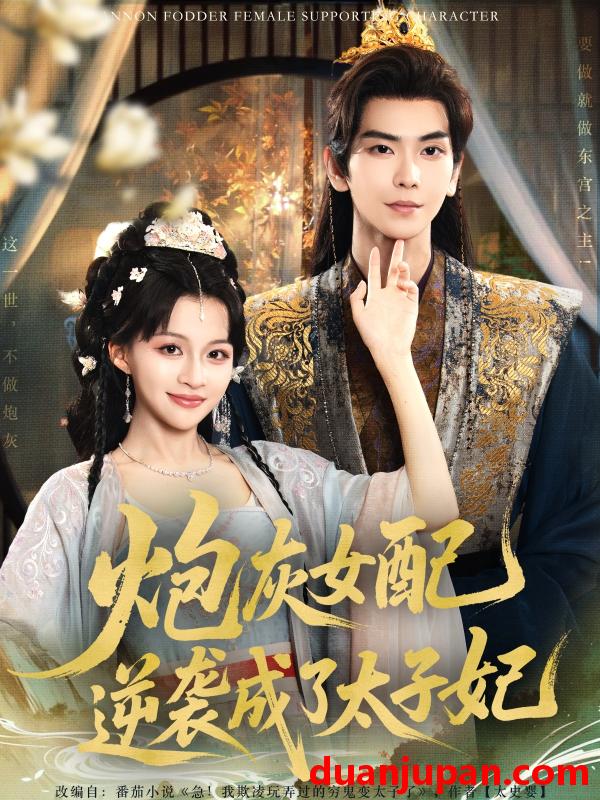 短剧 短剧 炮灰女配逆袭成了太子妃（82集）常斌/赵飞雪