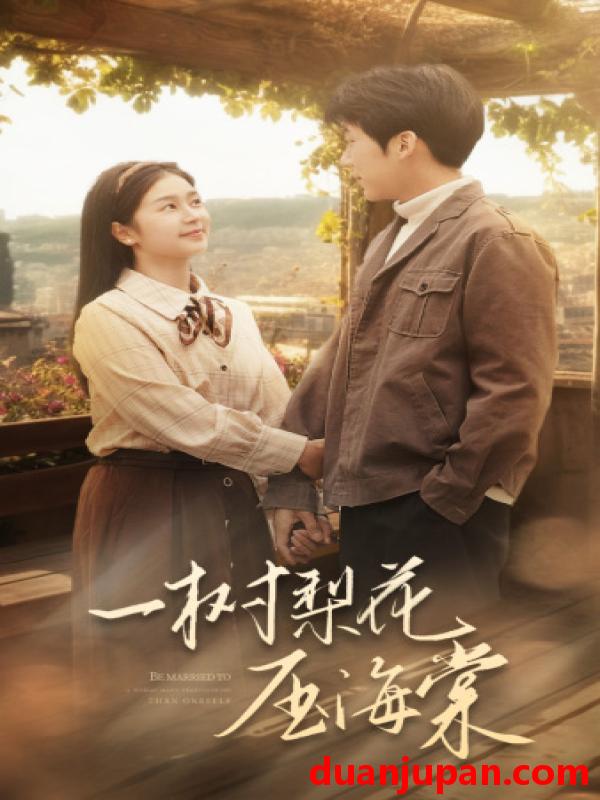 短剧 短剧 一树梨花压海棠/新：我在八零年代当后妈（82集） 
