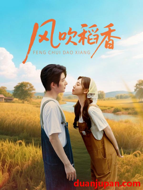 短剧 短剧 风吹稻香（80集）朱一未/白昕怡