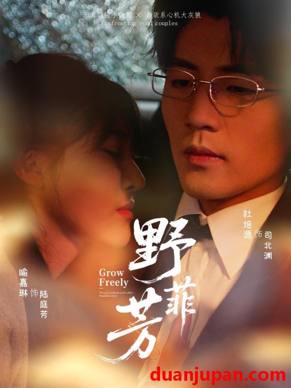 短剧 短剧 野芳菲（60集）喻嘉琳/杜培源