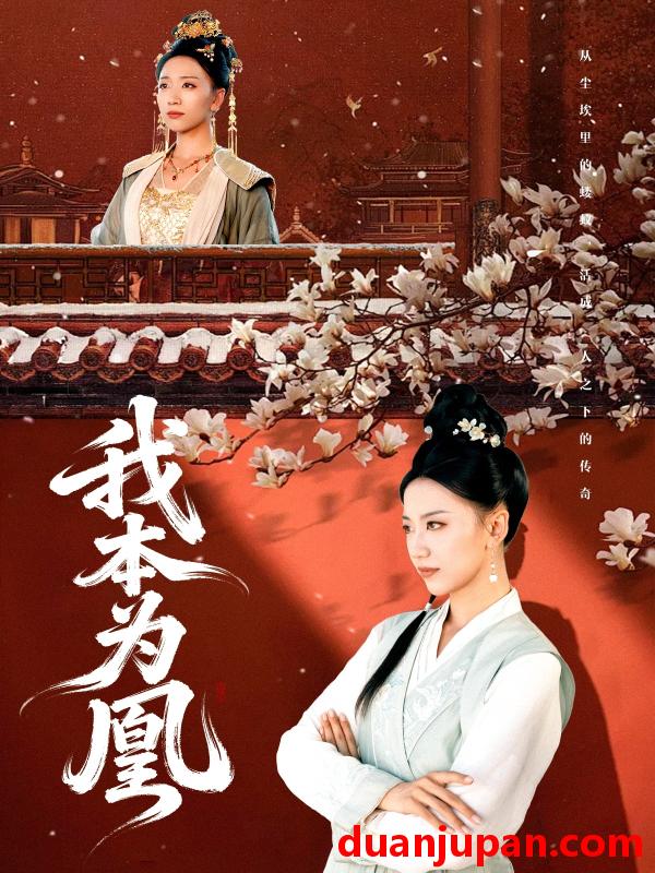 短剧 短剧 我本为凰（82集）傅宇航/刘继徽