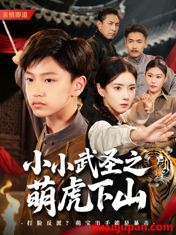 短剧 短剧 小小武圣之萌虎下山（62集）叶可儿