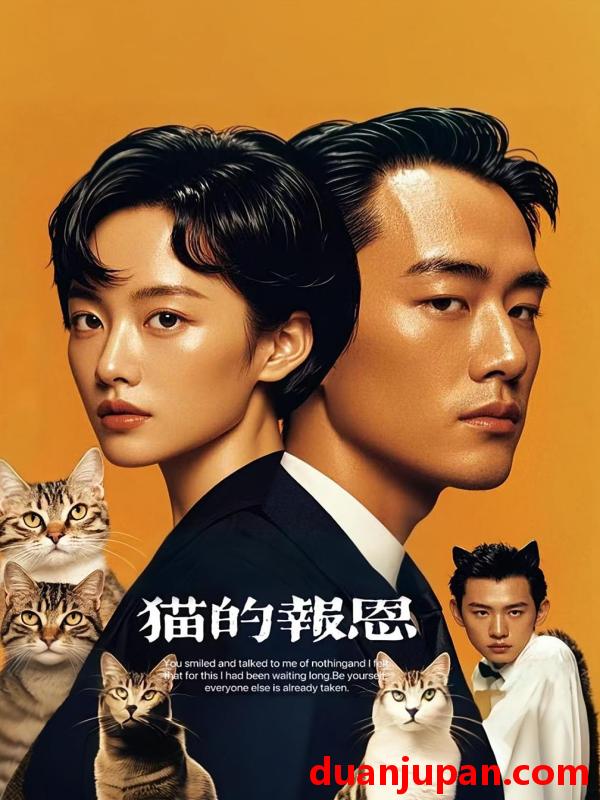 短剧 短剧 猫的报恩（60集）