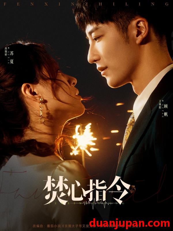 短剧 短剧 焚心指令（80集）王燕阳/高瑞婷