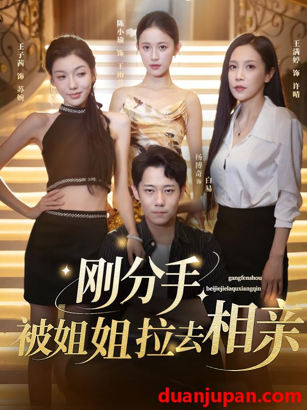 短剧 短剧 刚分手被姐姐拉去相亲（73集）
