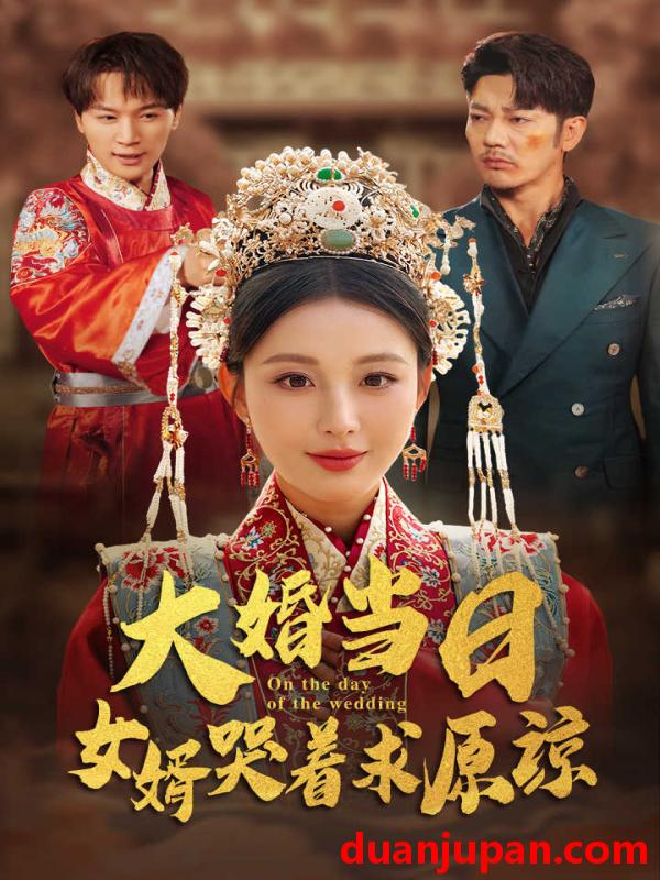 短剧 短剧 大婚当日，女婿哭着求原谅（31集） 