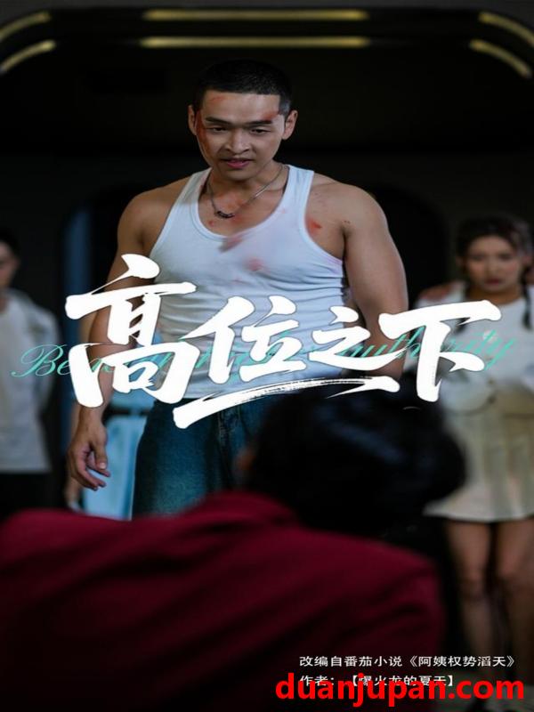 短剧 短剧 高位之下（65集）张家嘉/赵龙