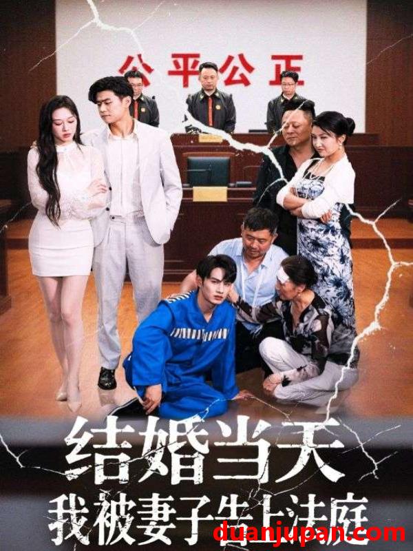 短剧 短剧 结婚当天我被妻子告上法庭（30集）王惠