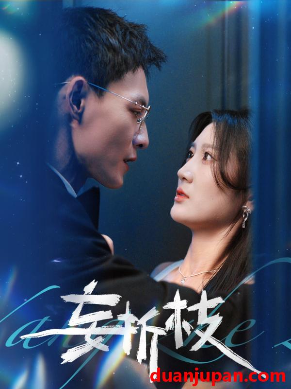 短剧 短剧 妄折枝（53集）冯铭潮/杨珊子