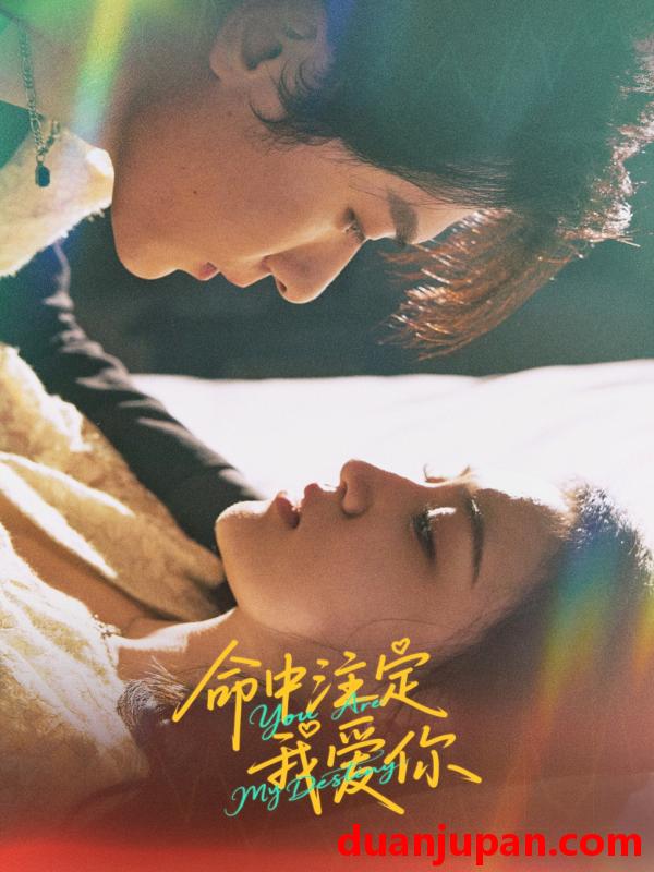 短剧 短剧 命中注定我爱你（63集）冯伊洋/安晓洁