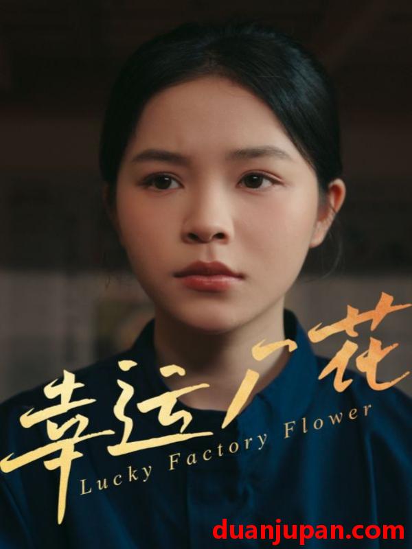 短剧 短剧 幸运厂花/幸孕厂花（30集）
