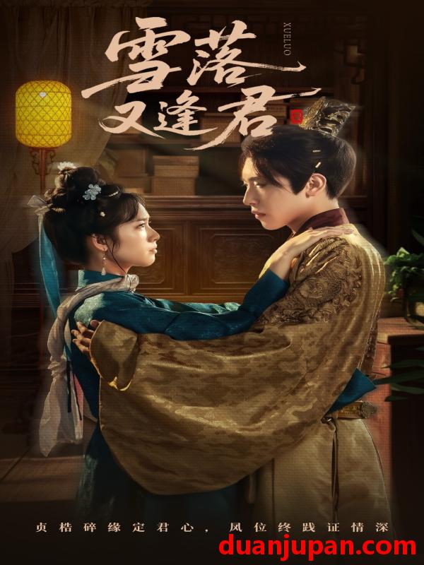 短剧 短剧 雪落又逢君（78集）杨映真