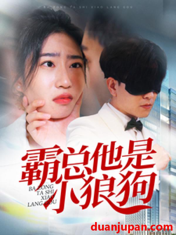 短剧 短剧 霸总他是小狼狗（31集） 