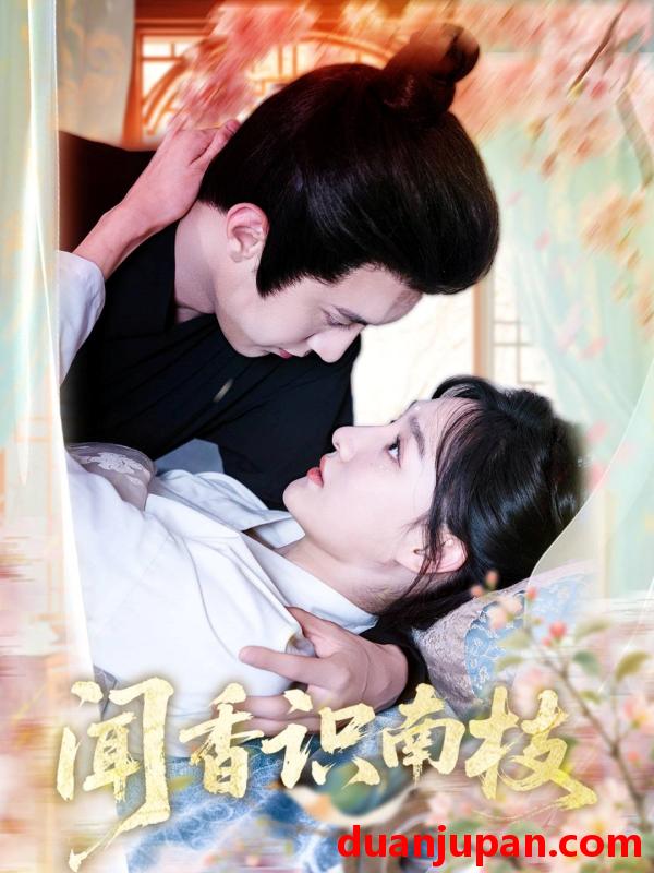 短剧 短剧 闻香识南枝（60集）李羽彤/希尔力