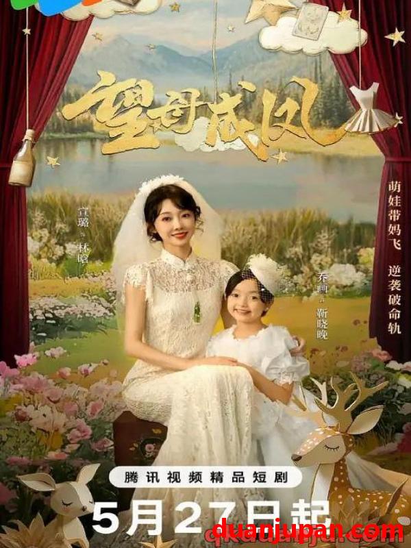 短剧 微短剧 望母成凤（24集全）宣璐/金泽