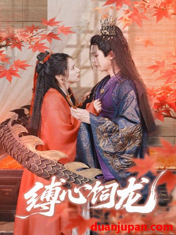 短剧 短剧 缚心饲龙（70集）何连飞/朱诗妤