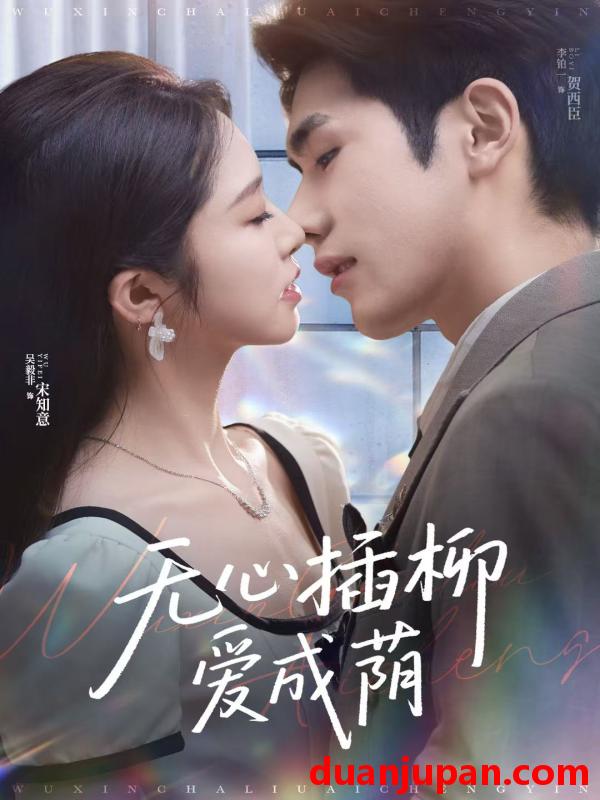 短剧 短剧 无心插柳爱成荫（80集）李铂一/吴毅非