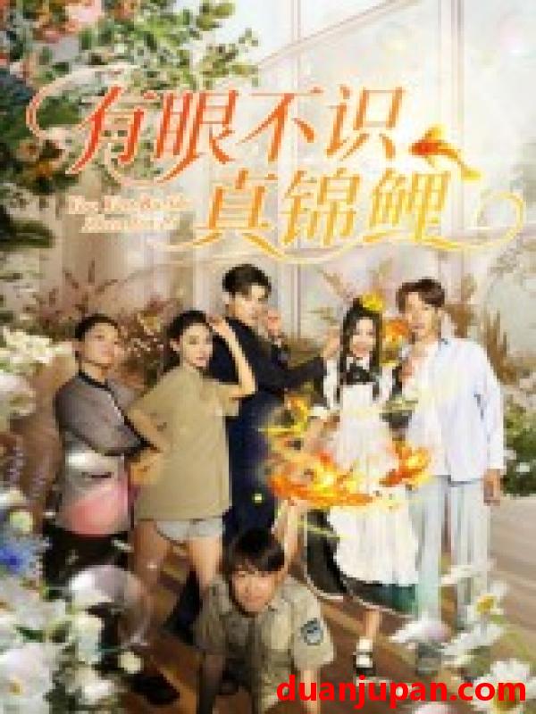 短剧 短剧 有眼不识真锦鲤（35集）刘凯/尹玲