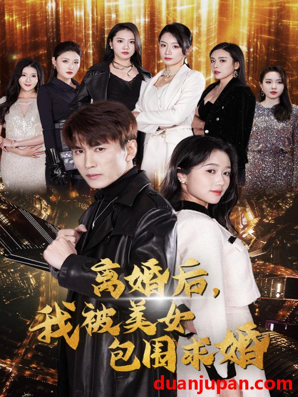短剧 短剧 离婚后，我被美女包围求婚/离婚后，走上人生巅峰（100集）岳雨婷 