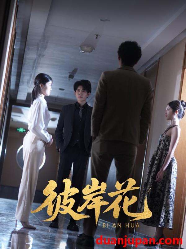 短剧 短剧 彼岸花（30集）薛晗/羊洋