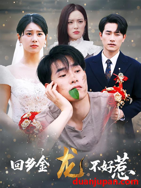 短剧 短剧 回乡金龙不好惹（74集）薛海威/徐海文