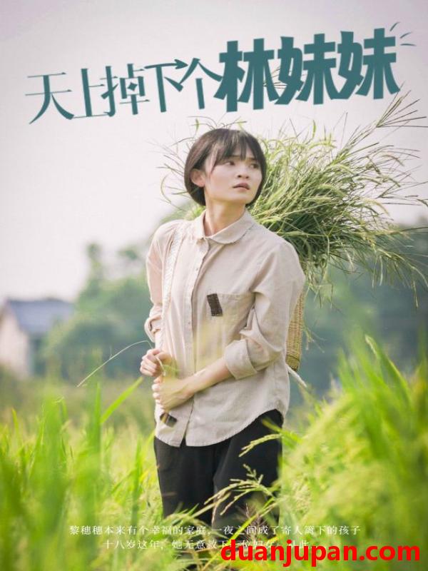 短剧 短剧 天上掉下个林妹妹（81集） 