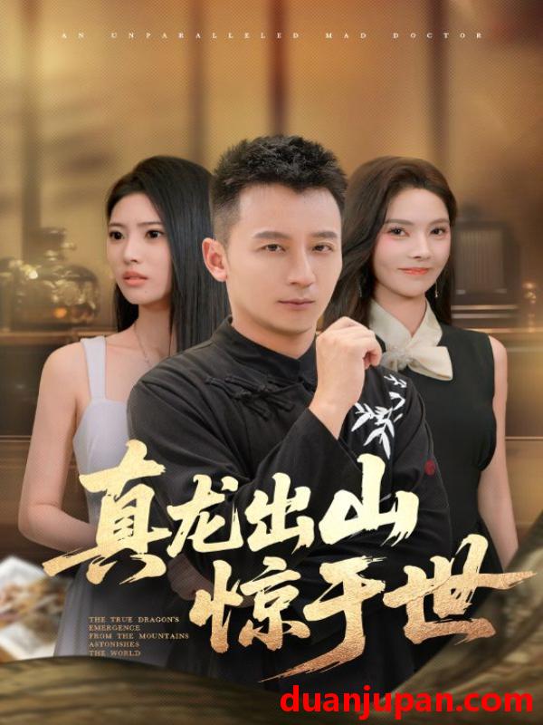 短剧 短剧 真龙出山惊于世（74集）