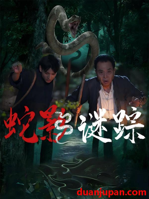 短剧 短剧 蛇影谜踪（53集）王云凤/吴广林