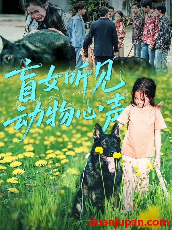 短剧 短剧 盲女听见动物心声（61集）