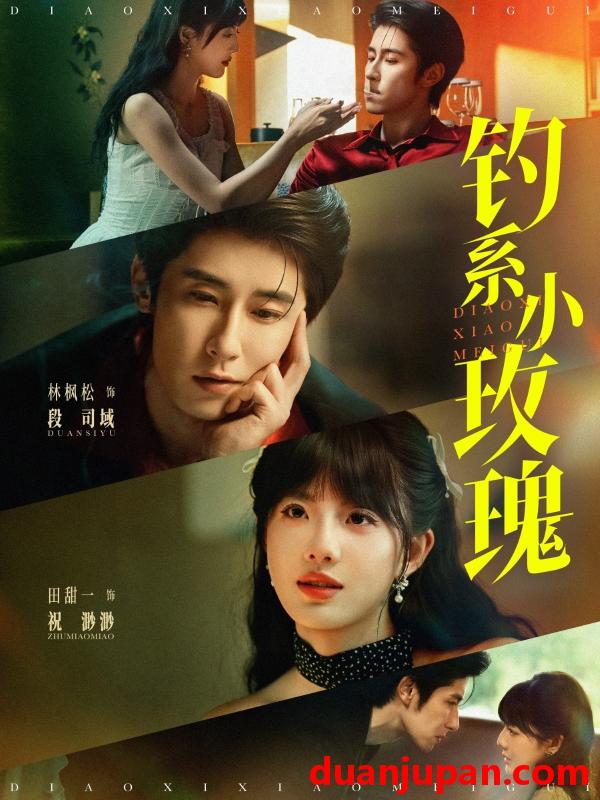 短剧 短剧 钓系小玫瑰（82集）林枫松/田甜一