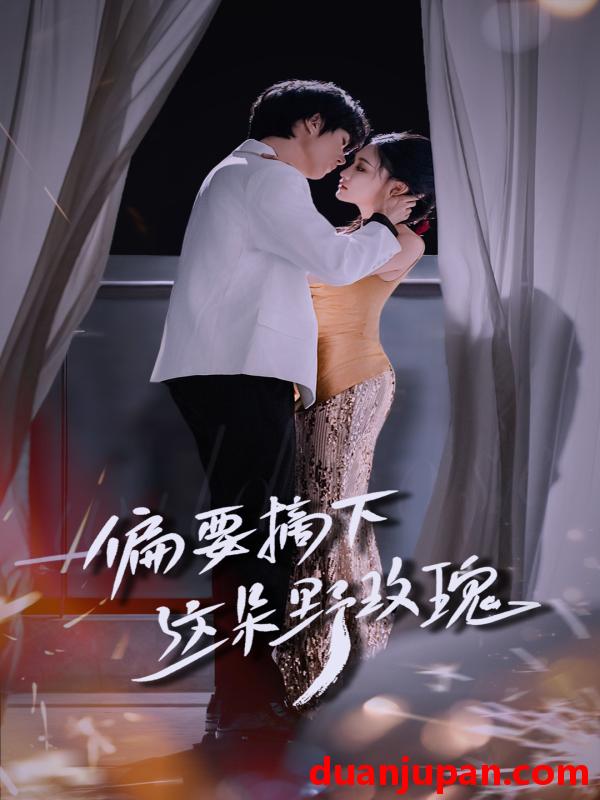 短剧 短剧 偏要摘下这朵野玫瑰（60集）燕颢元/张亚迪