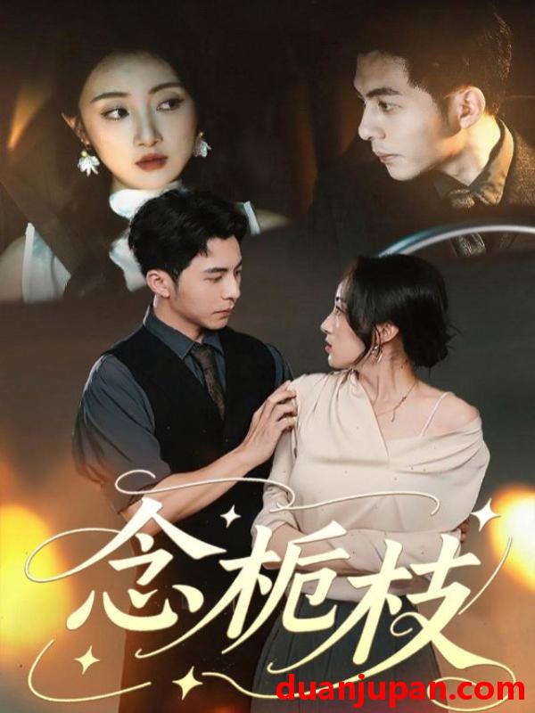 短剧 短剧 念栀枝（81集）李可乐/海依凡