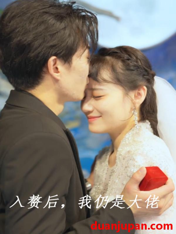 短剧 短剧 入赘后，我仍是大佬（100集） 