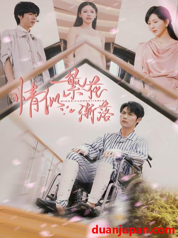 短剧 短剧 情似繁花渐落（62集）李明源/顾沅真