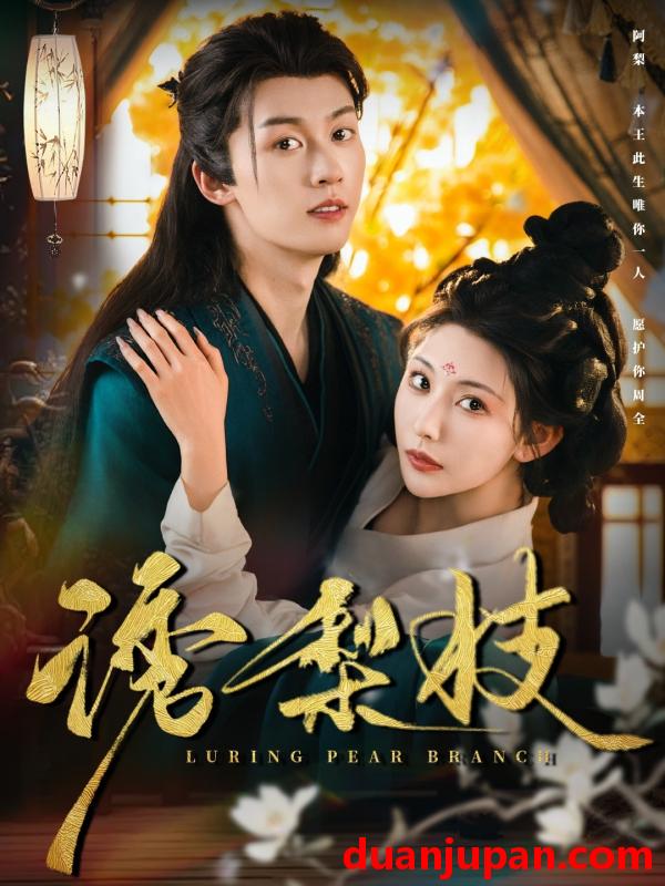 短剧 短剧 诱梨枝（73集）刘宇航/秦天爱