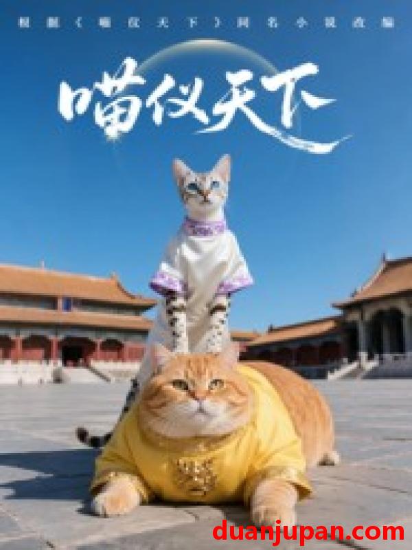 短剧 短剧 喵仪天下（20集）第一季 AI短剧