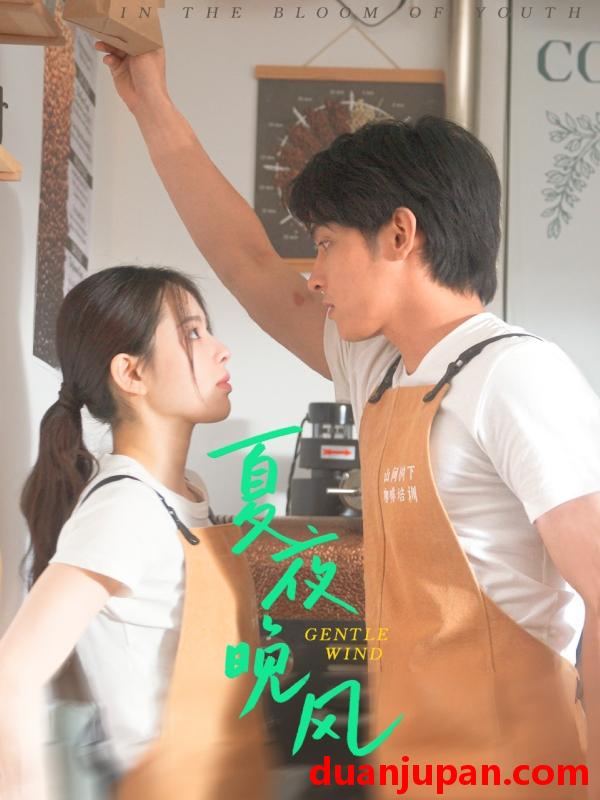 短剧 短剧 夏夜晚风（12集）何衍朝/蔡子伊