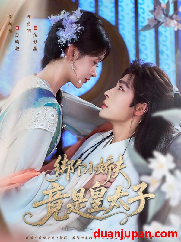 短剧 短剧 绑个小娇夫竟是皇太子（61集）邹柯俊/刘蓝鸽